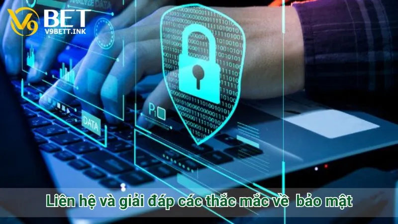 Liên hệ và giải đáp các thắc mắc về bảo mật