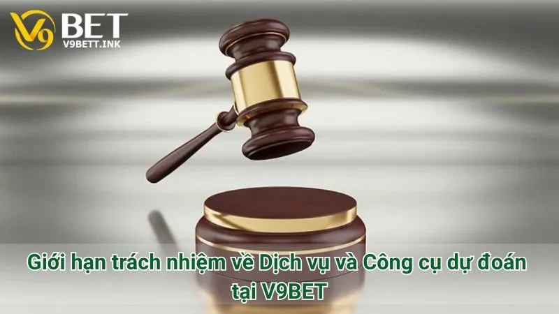 Giới hạn trách nhiệm về Dịch vụ và Công cụ dự đoán tại V9BET