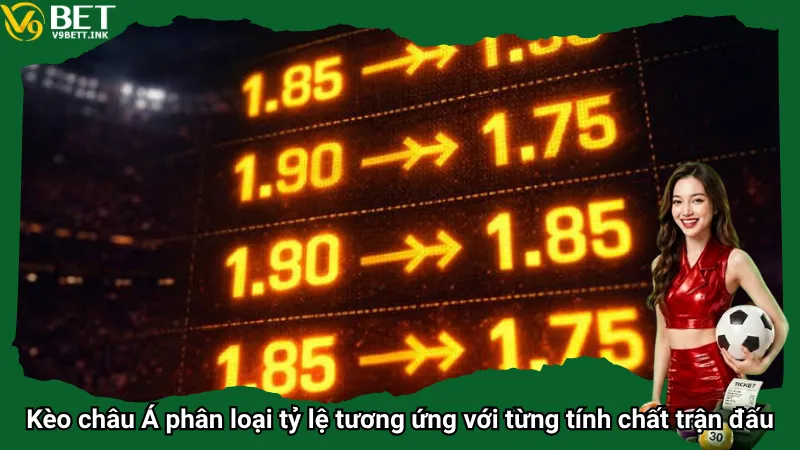 Kèo châu Á phân loại tỷ lệ tương ứng với từng tính chất trận đấu